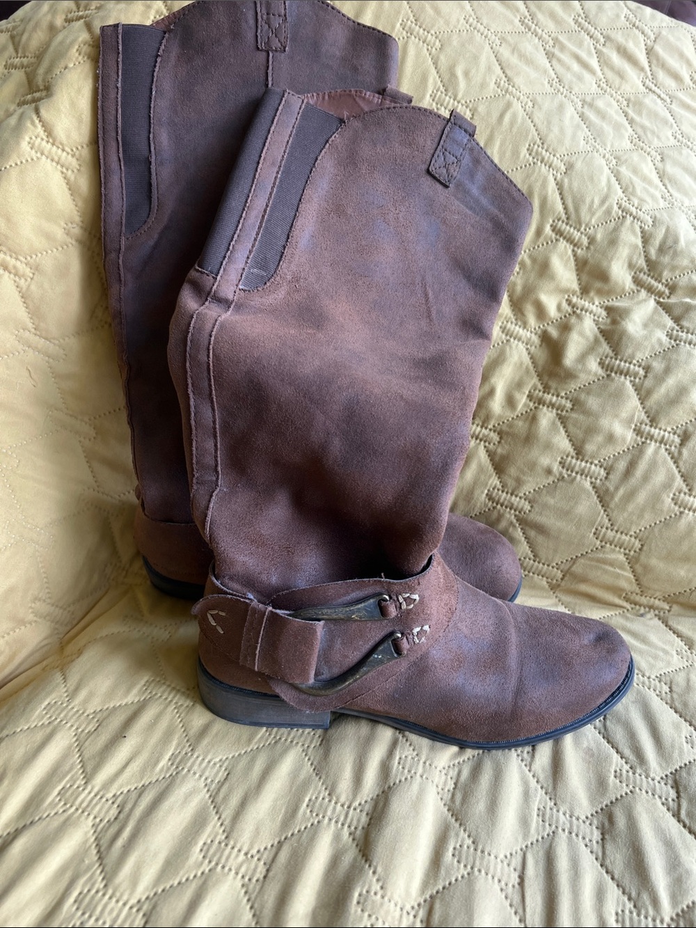 Target Brown Suede Women's Harness Riding Boots